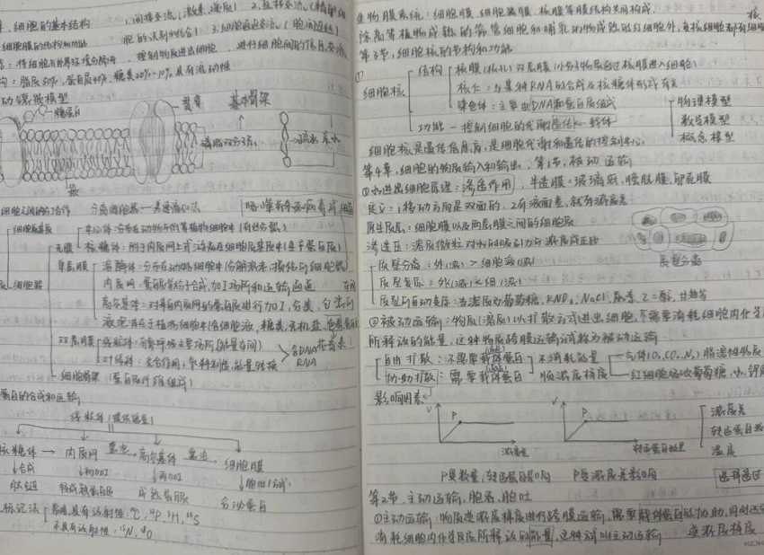 1747442608643037016.png 图片18.png